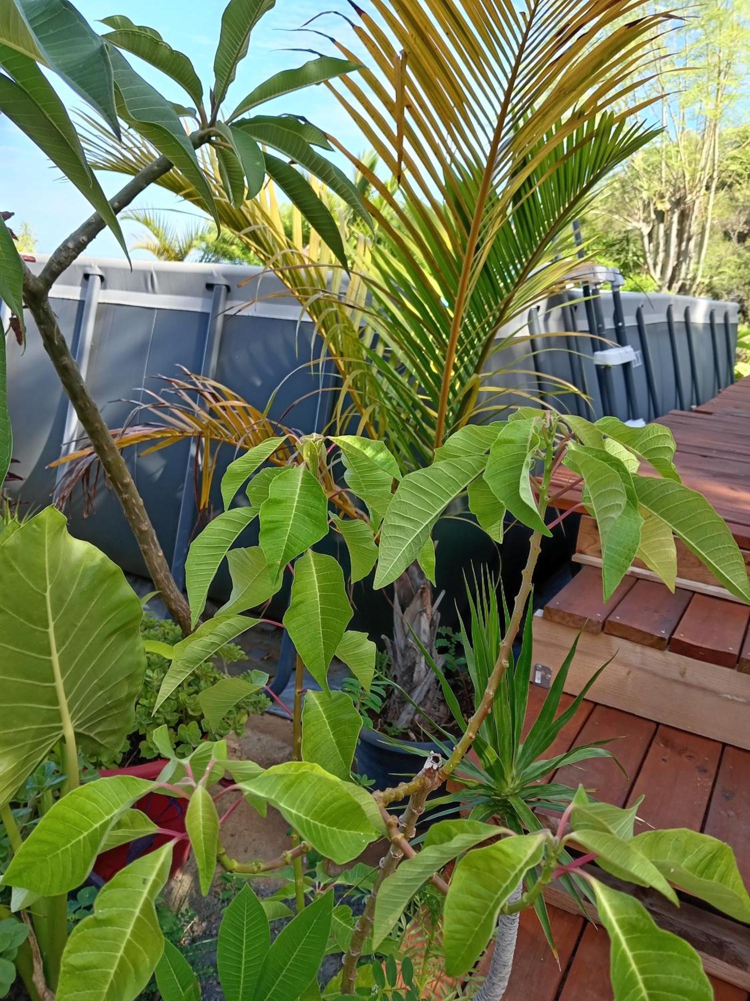 Le Refuge Apartment Saint-Leu Luaran gambar